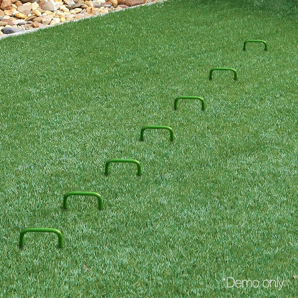 Galvanized Steel Grass/Tent Pins 100pcs Prime Turf